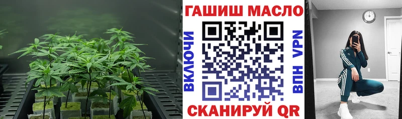 Купить где Грязи Дистиллят ТГК гашишное масло